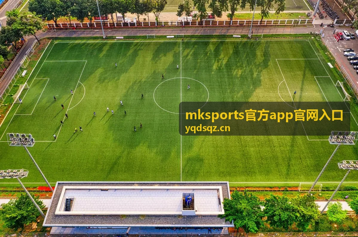 mksports官方app官网入口版本更新与账号安全提示