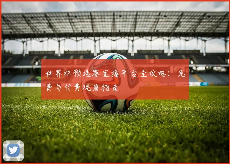 世界杯预选赛直播平台全攻略：免费与付费观看指南