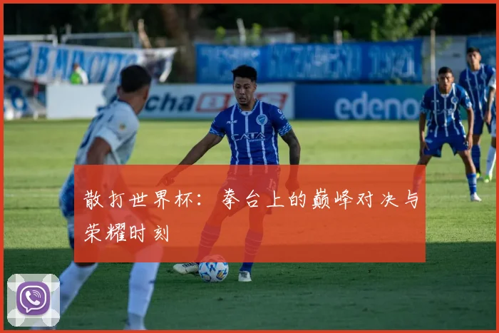 散打世界杯：拳台上的巅峰对决与荣耀时刻